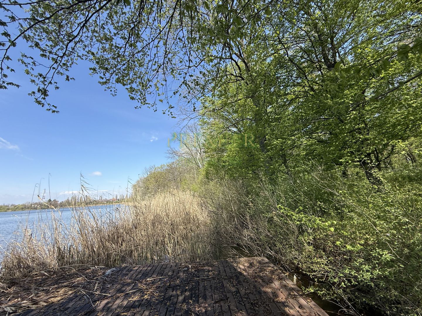 TEREN 7000 MP| DESCHIDERE 40 ML | INTRAVILAN-PADURE | POT 5% | TEREN UNIC | - Poză 2