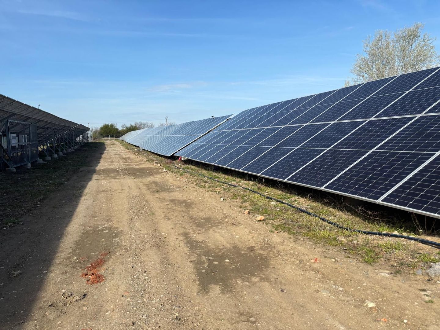 Investiție Timișoara: Hală ISU 1900mp + Parc Solar 400kW + Chiriaș - Poză 9