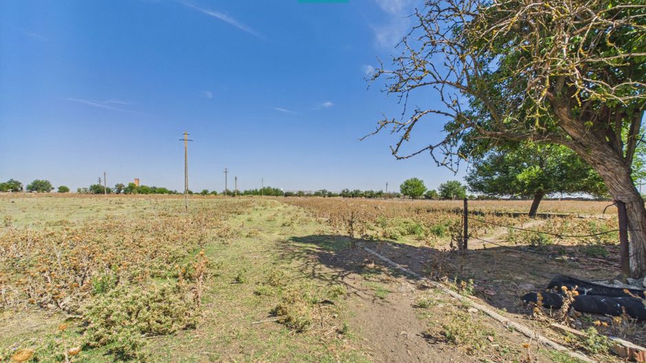 Teren intravilan 146.866 mp de vânzare | Jimbolia - Poză 13