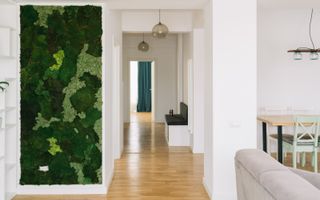 4 CAMERE || PENTRU INVESTITIE || DOMENII - Poză 7