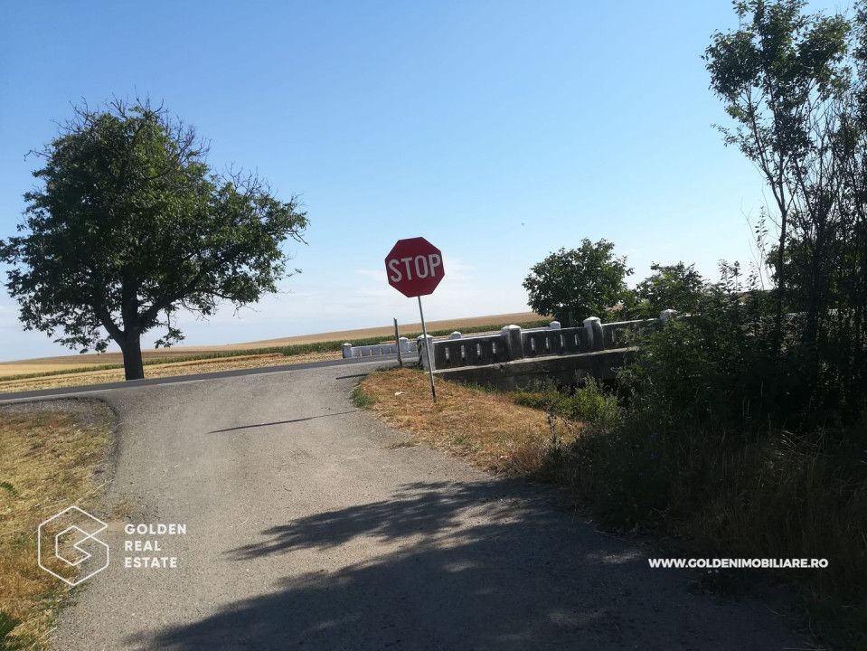 Teren intravilan, pentru constructii hale industriale, zona Pecica - Poză 3