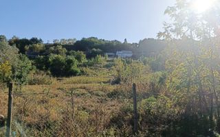 Teren intravilan Horodniceni/Suceava - Poză 8