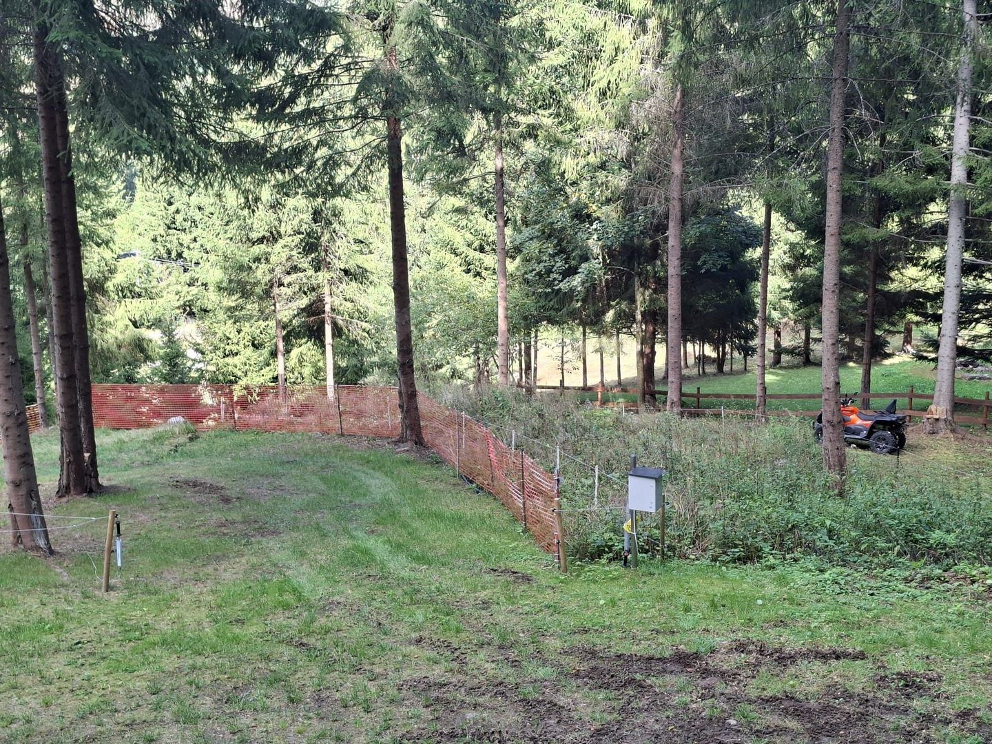 Teren intravilan la munte - Poză 7