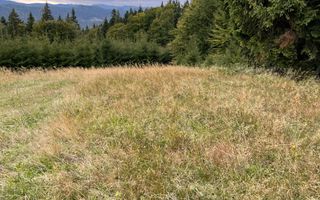 Teren Extravilan | 6.100 mp | Brodina | 41.500 € negociabil - Poză 14