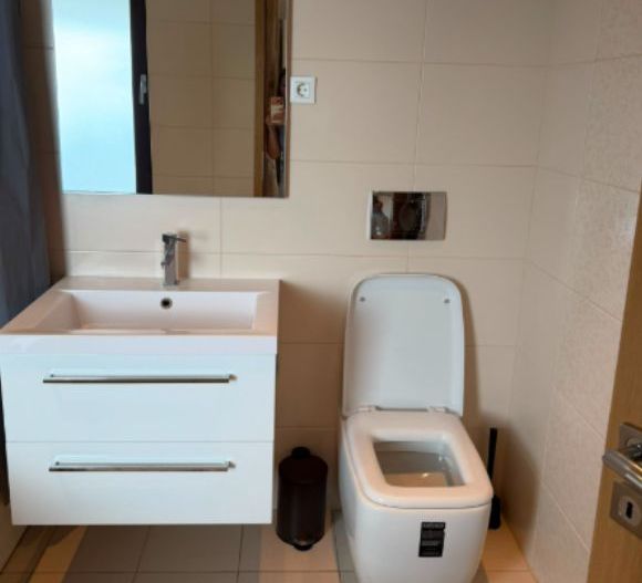 4 camere | Rovere | Iancu Nicolae | Pipera | Baneasa | - Poză 17