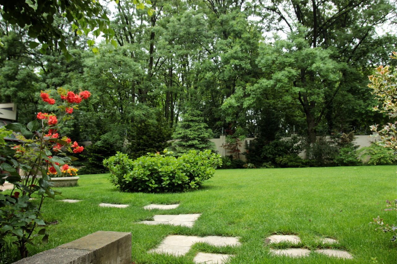 Vila impresionantă cu 15 camere, situată în zona Barbu Văcărescu - Poză 12