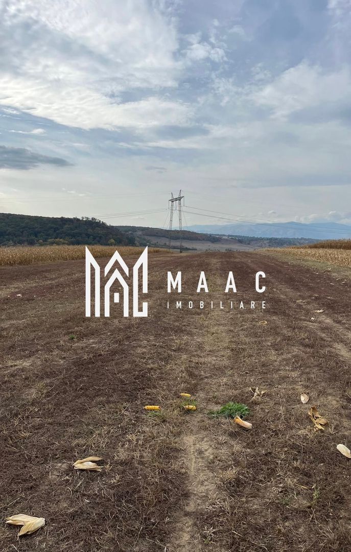 Teren extravilan de vânzare | Daia | 1.500 mp - Poză 3