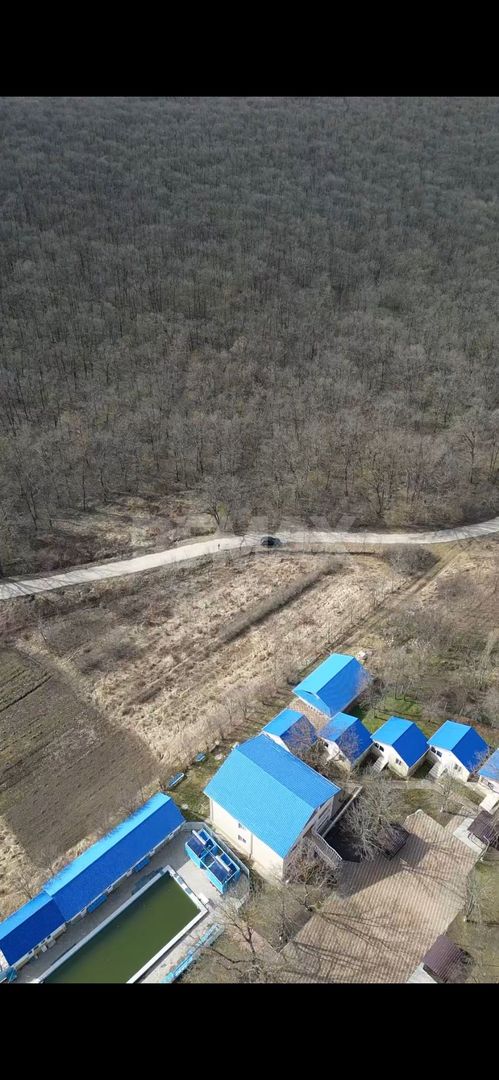 Pădure de vânzare - 2 Ha pentru Agroturism - Poză 1