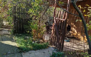 CASĂ 4 CAMERE\CARANSEBEȘ,JUD.CARAȘ-SEVERIN - Poză 22