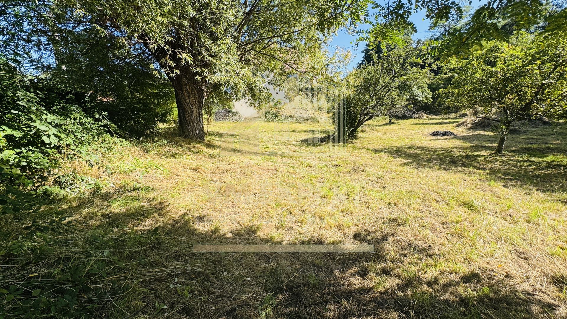 TEREN INTRAVILAN 3234 MP LEREȘTI VOINEȘTI ARGEȘ - Poză 10