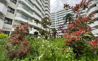 Apartament 2 camere decomandat Royal Town - Copou - Poză 30