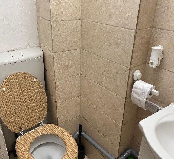 Apartament 3 camere Gradina Icoanei - Poză 17