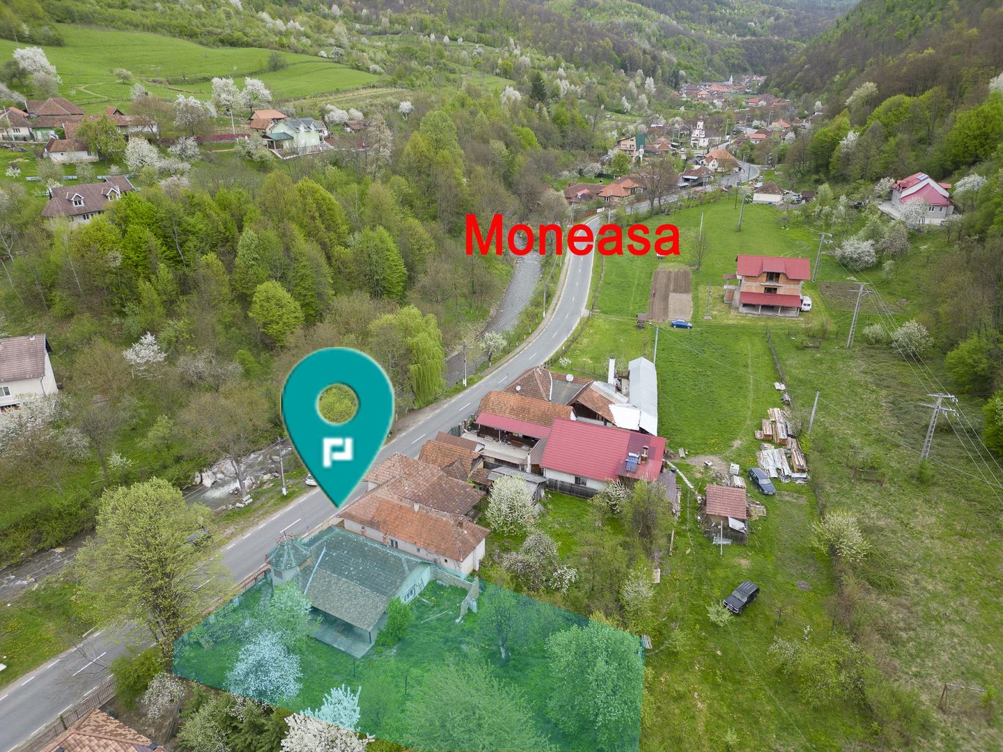 Casă în Moneasa - Poză 1