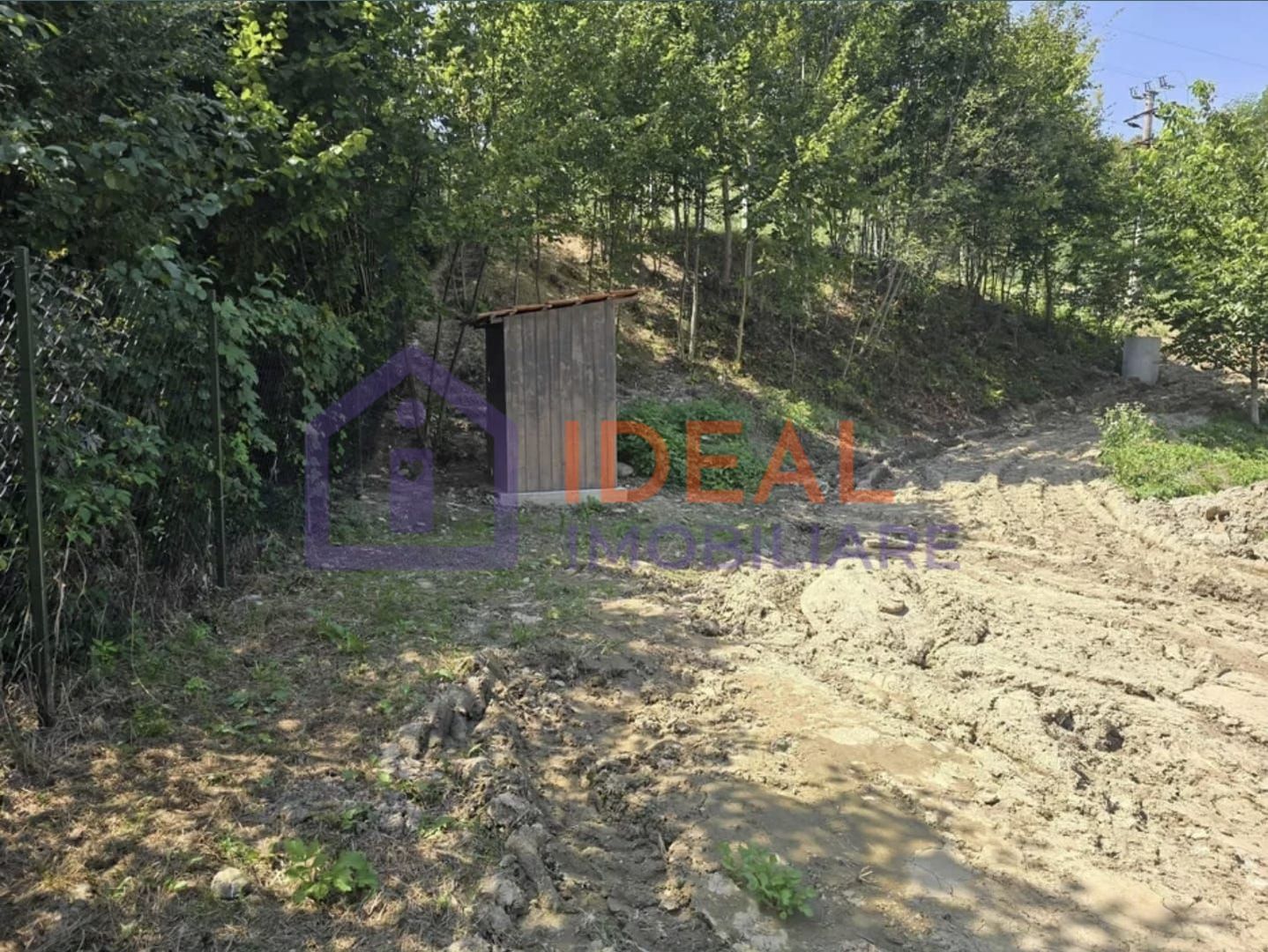 Teren extravilan 2.300 mp – Cârțișoara, județul Sibiu - Poză 6