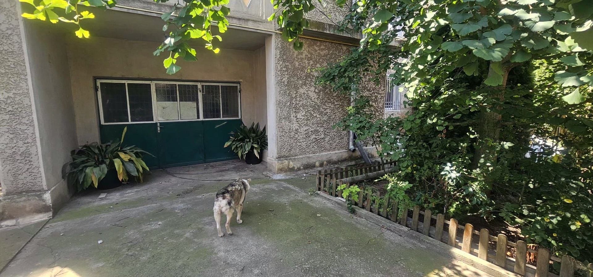 De vanzare  -  Casa P+1E - Alea Trandafirilor - 220.000 euro - Poză 10