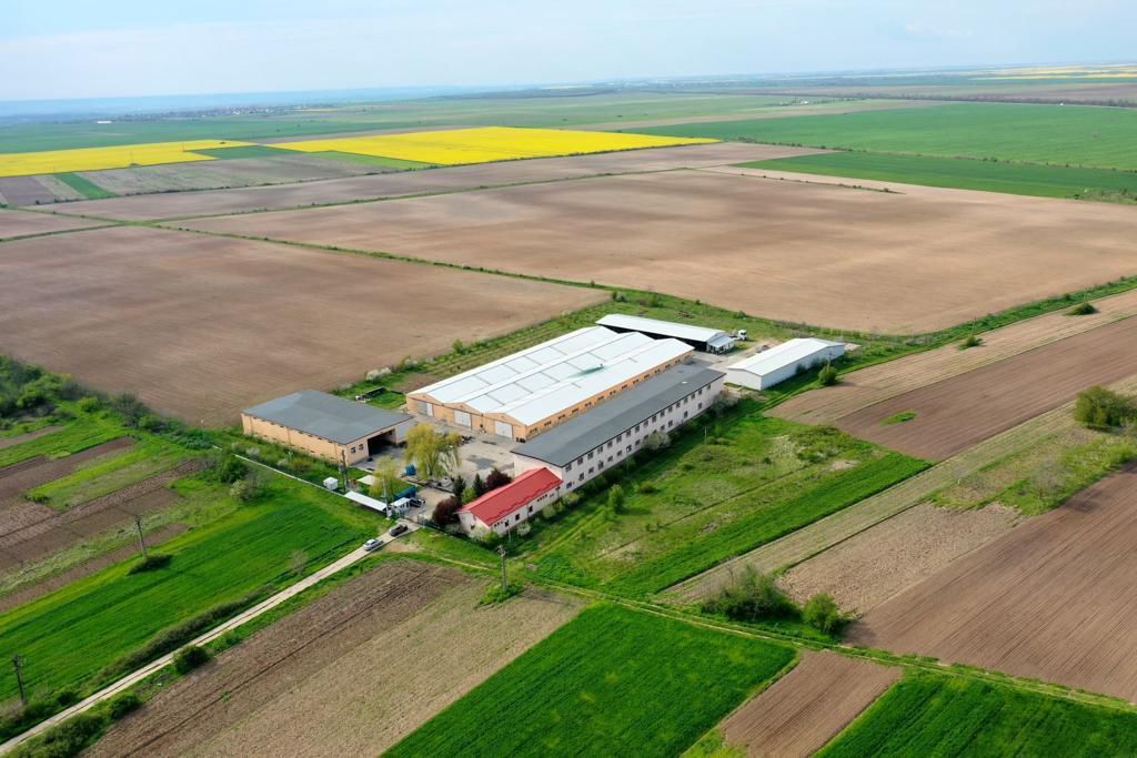 HALE INDUSTRIALE & PLATFORME BETONATE & TEREN INTRAVILAN 23500MP CRAIOVA - Poză 5