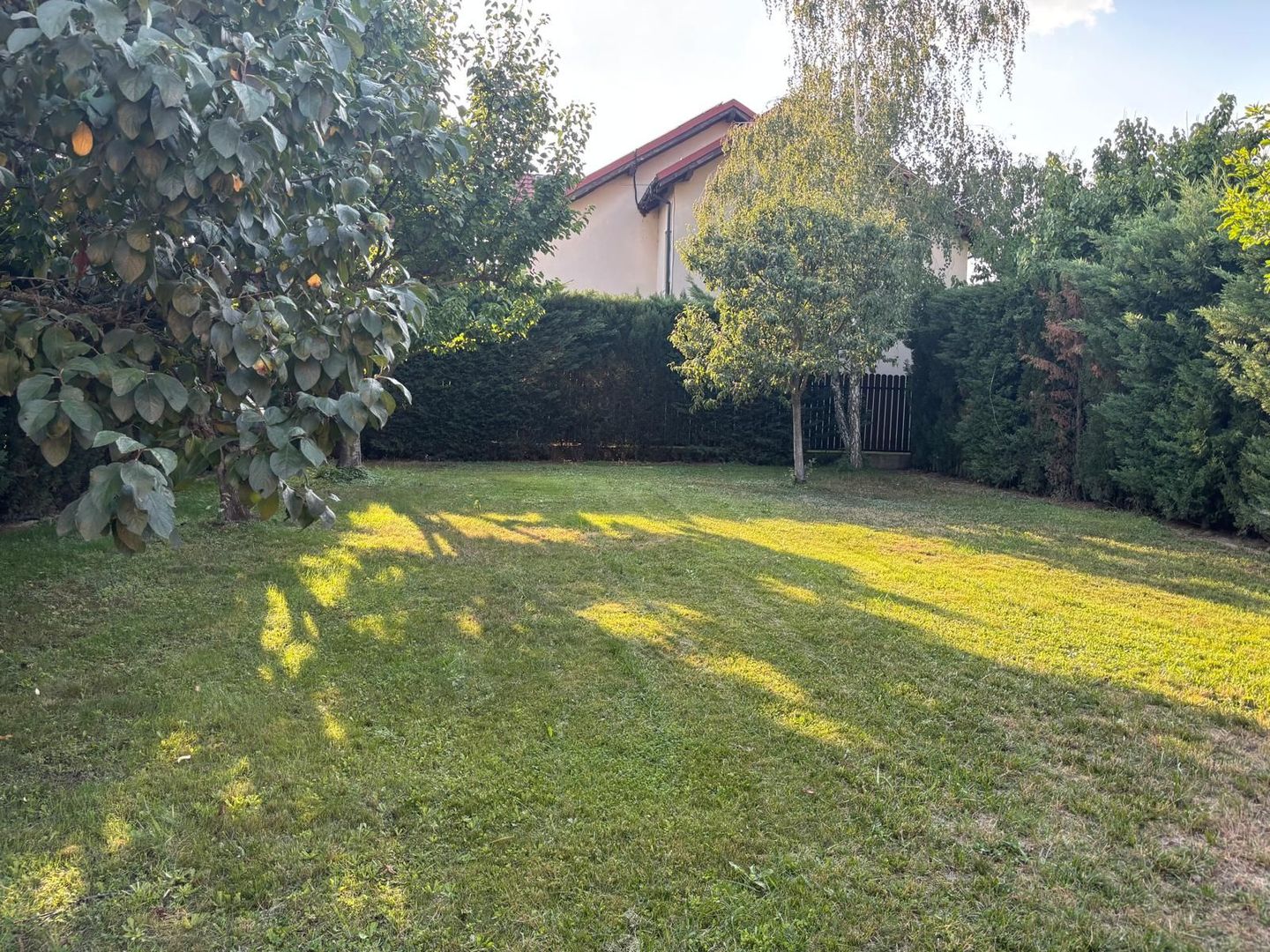 Vila deosebita aproape de padure - Poză 35