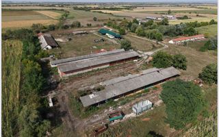 Spatiu multifunctional Salonta - Poză 8