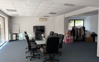 Vanzare | Cismigiu - Popa Tatu | Spatiu Office | 2009 - Poză 7