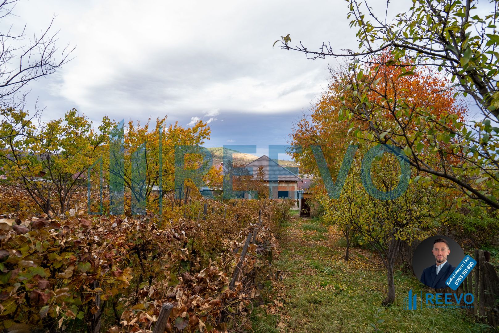 Casa de vânzare, strada Paun Pincio nr. 5, Moinești - Poză 3