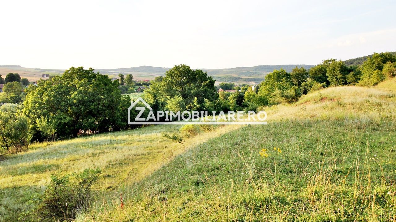 Teren Intravilan,5.000mp cu utilităti si proiect casă 12e mp - Poză 7