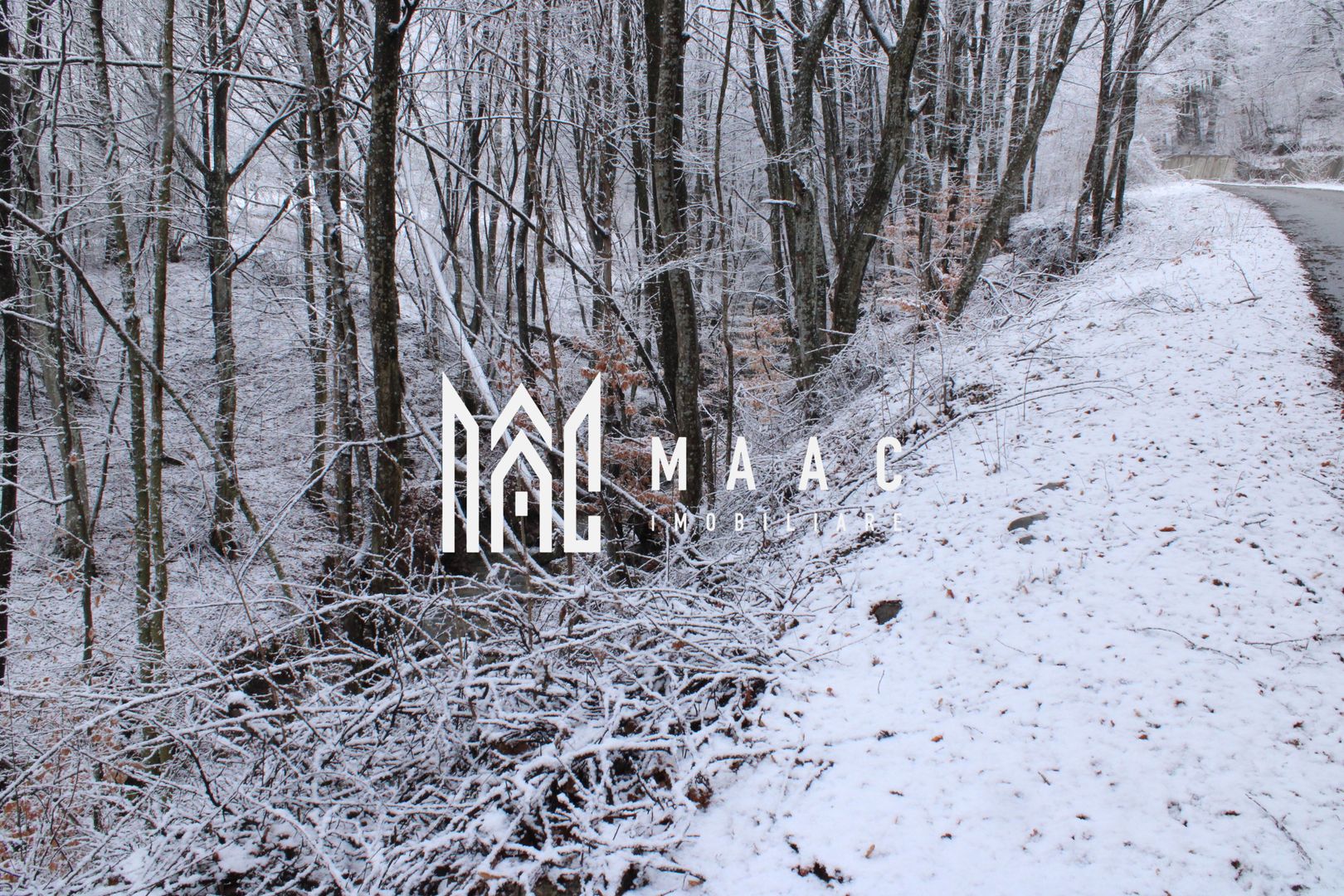 Teren cu izvor de apă minerală  Dangești, Punctul Valea Mare - Poză 21