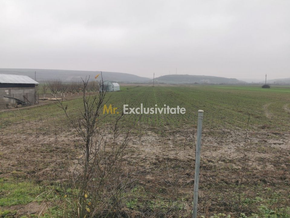 De vanzare casa in Argetoaia cu teren 7.000 mp - Poză 5