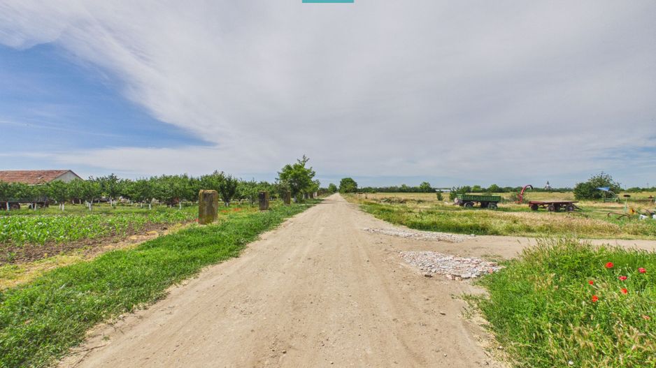Teren extravilan 5000 mp, Arad - Poză 3