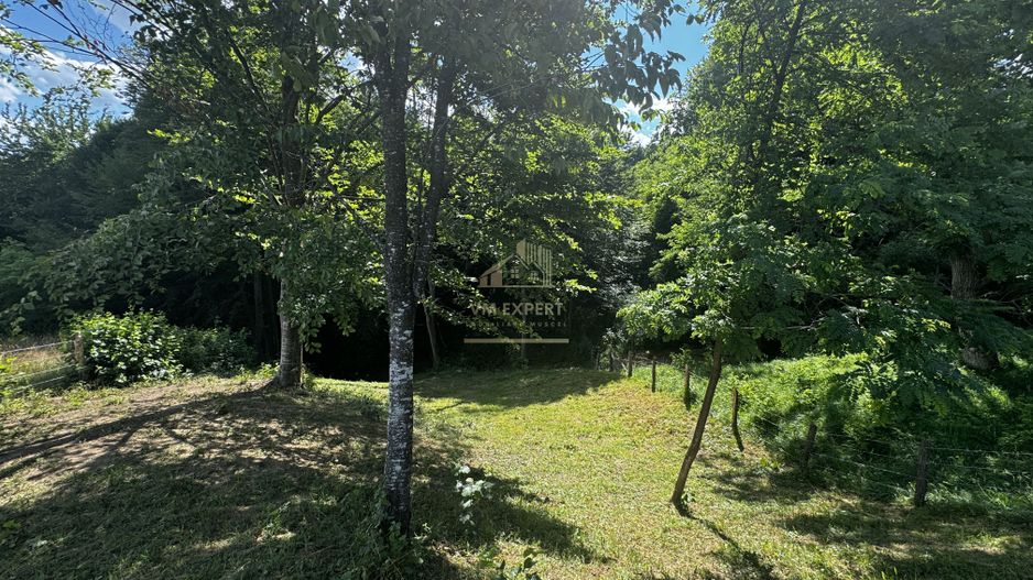 TEREN INTRAVILAN,  SUPRAFAȚA 3446 MP, BUGHEA DE SUS, ARGES - Poză 22