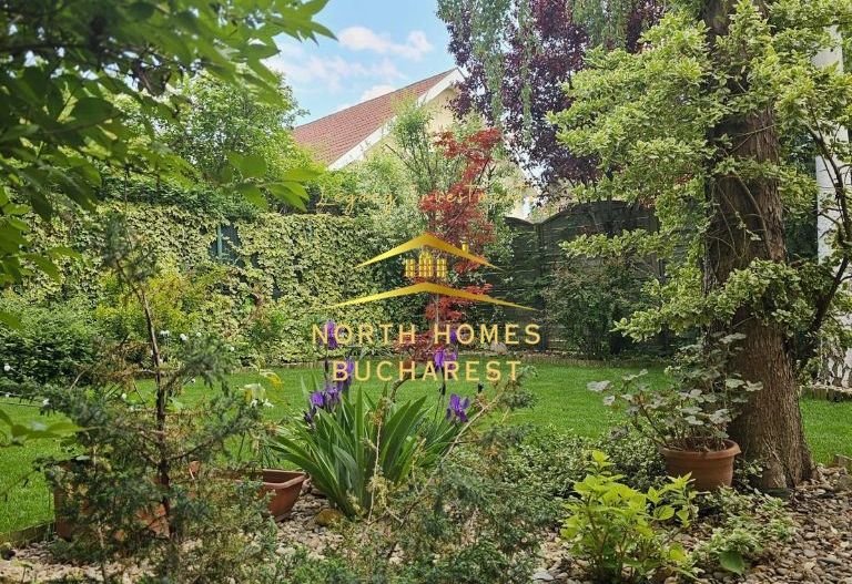 Vila 4 camere 220 mpu - 400 mp teren - Pipera / V Alecsandri - Poză 7