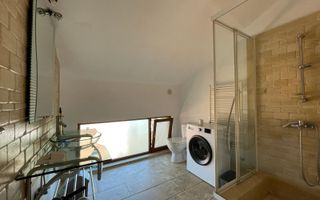 Apartament open-space tip loft , Grigorescu, pet-friendly - Poză 9