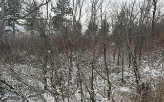 Teren extravilan/ fostă livadă/ zona Bucium, Iași - Poză 5