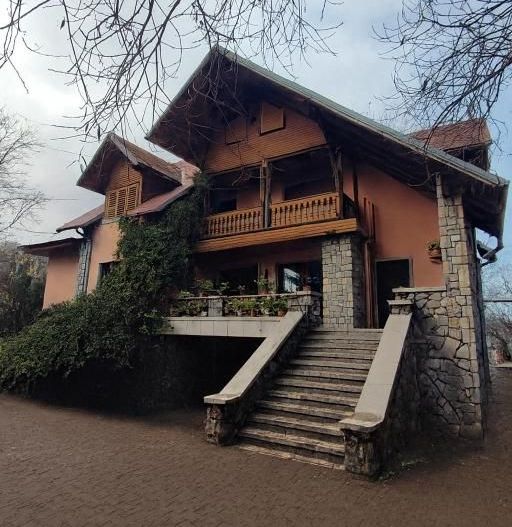 Pet Friendly, Vedere Padure, 5000mp teren, D+P+1E+M, semineu, foisor - Poză 35