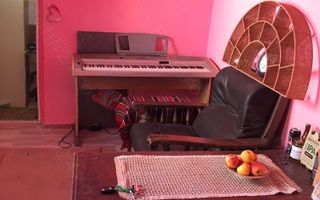 Agentia Brasadad vine casă la curte - Poză 2