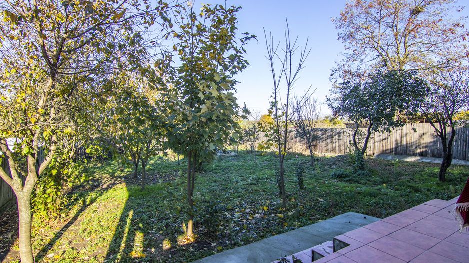 Vila individuala Padurea Branesti / Islaz, 5 camere, teren 1000 mp - Poză 2