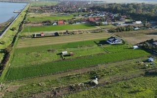 Teren 3.600 mp Lilieci - Poză 3