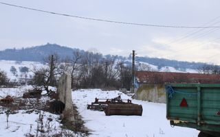 Ferma de Vânzare – Oportunitate Unică! - Poză 24