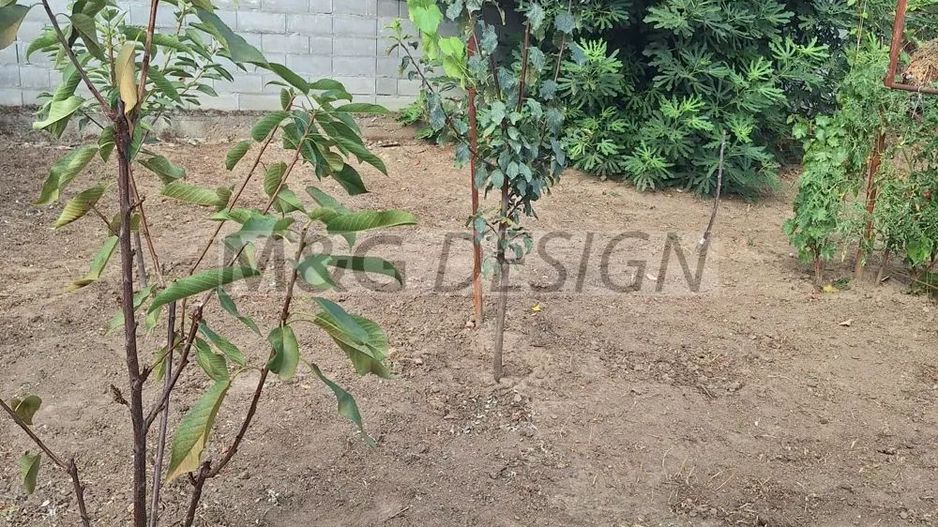 Apartament cu 1 camera. zona  Elisabetin - Poză 5