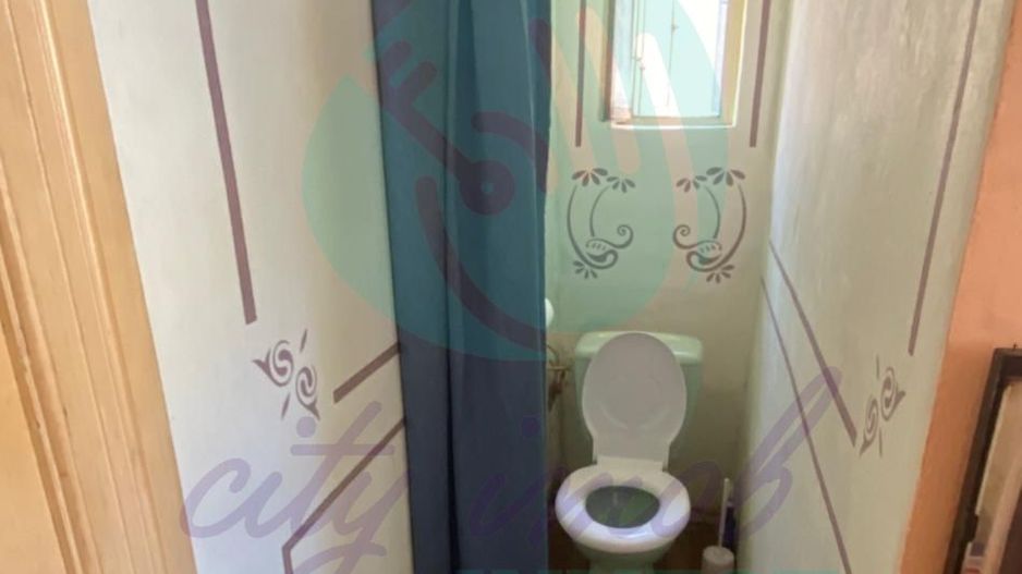 Vilă în Cotroceni | Curte proprie | Gradina Botanică-Palat-Carol Davilla - Poză 8