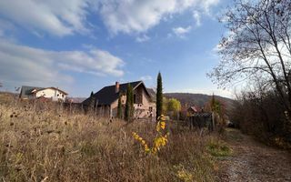 TEREN 1095MP -PODIS -DN 2G- BACAU -MOINESTI - Poză 2