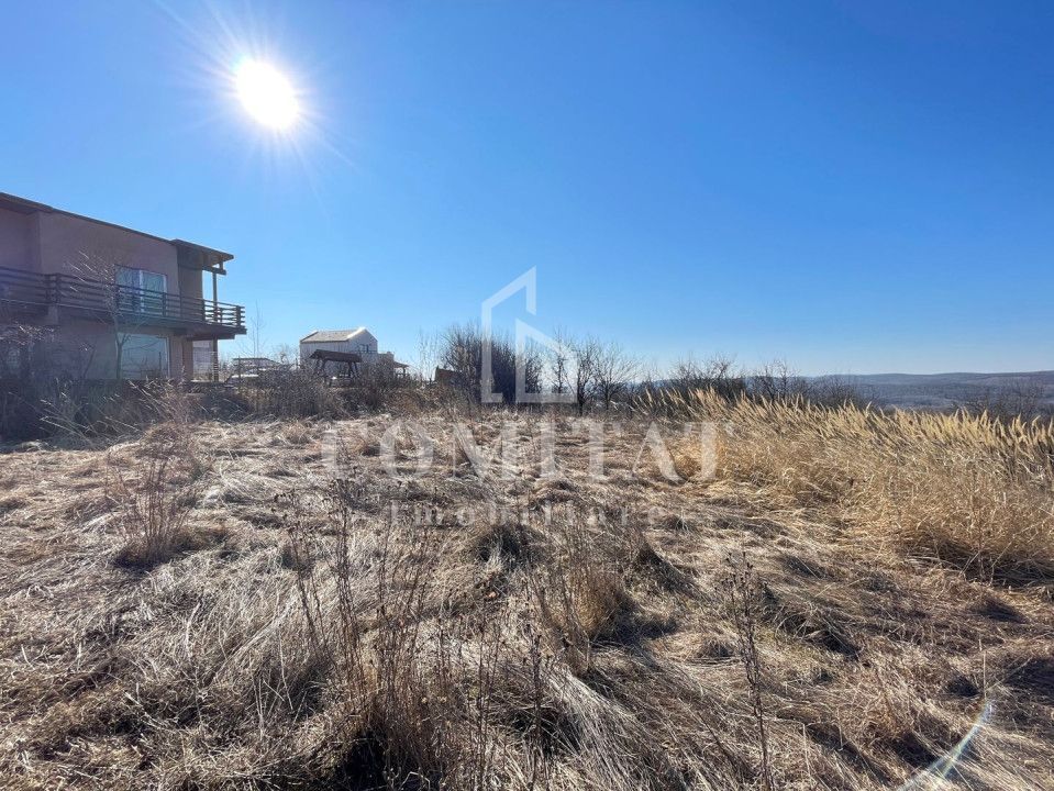 Teren cu potential de investitie 2430 mp si drum de acces - Poză 4