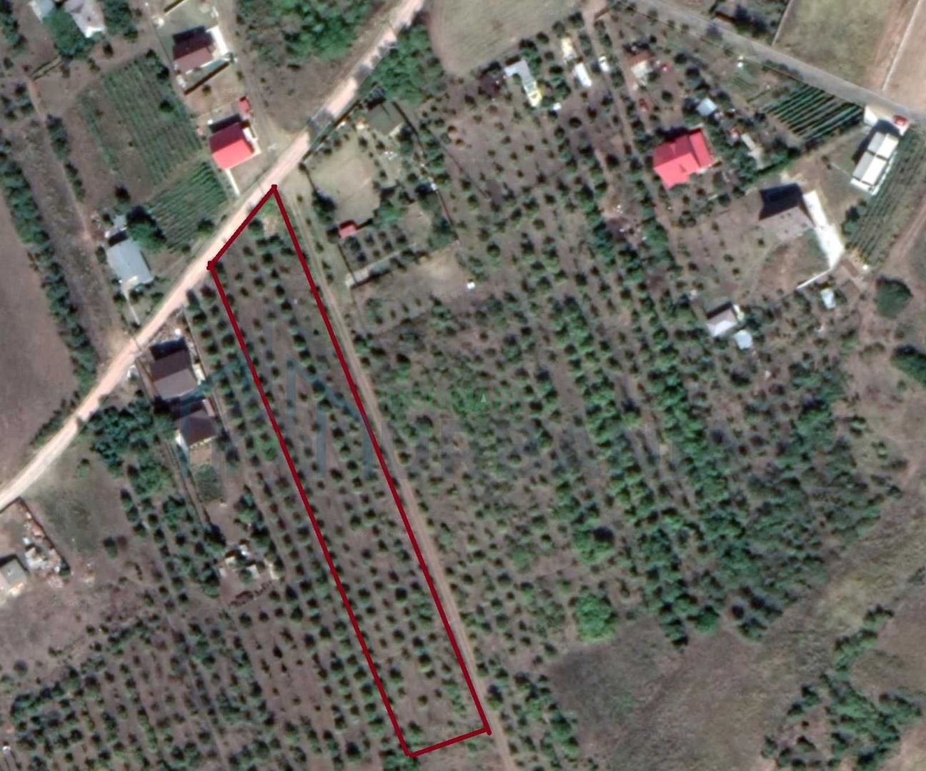 Teren intravilan 5.050 mp Tomesti–Chicerea | P+2E | casa sau parcelare - Poză 3