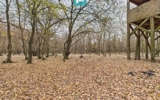 Teren pe malul Muresului- oportunitati multiple - Poză 16