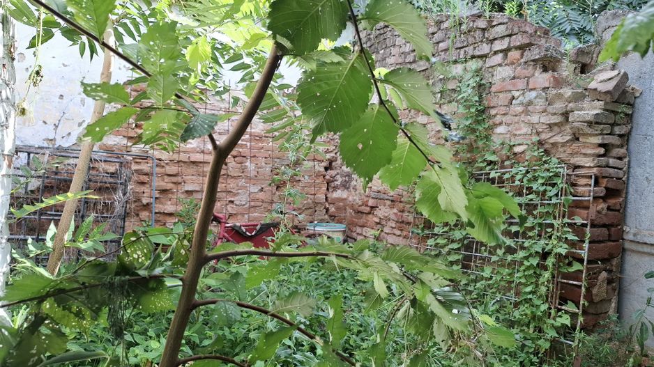 URGENT!, Piata Victoriei-adiacent, cetificat de urbanism, NEGOCIABIL - Poză 5