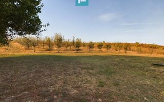 Pivnițele Birăuaș D.O.C Miniș - RATE FĂRĂ DOBÂNDĂ - Poză 43