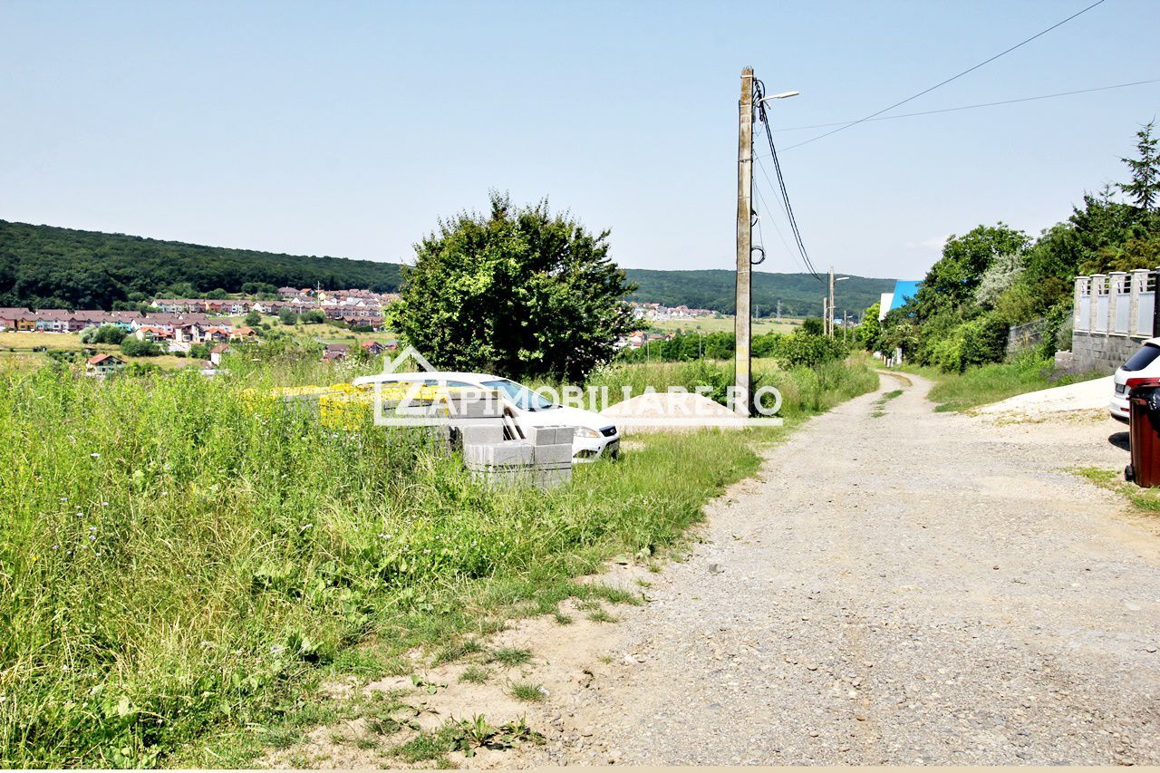Teren 5.000 mp Corunca in spate la Dacia 40 euro mp - Poză 1