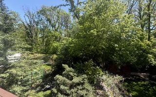 Vilă cu ieșire directă în Pădurea Băneasa – zonă Liceul Francez, Nord București - Poză 16