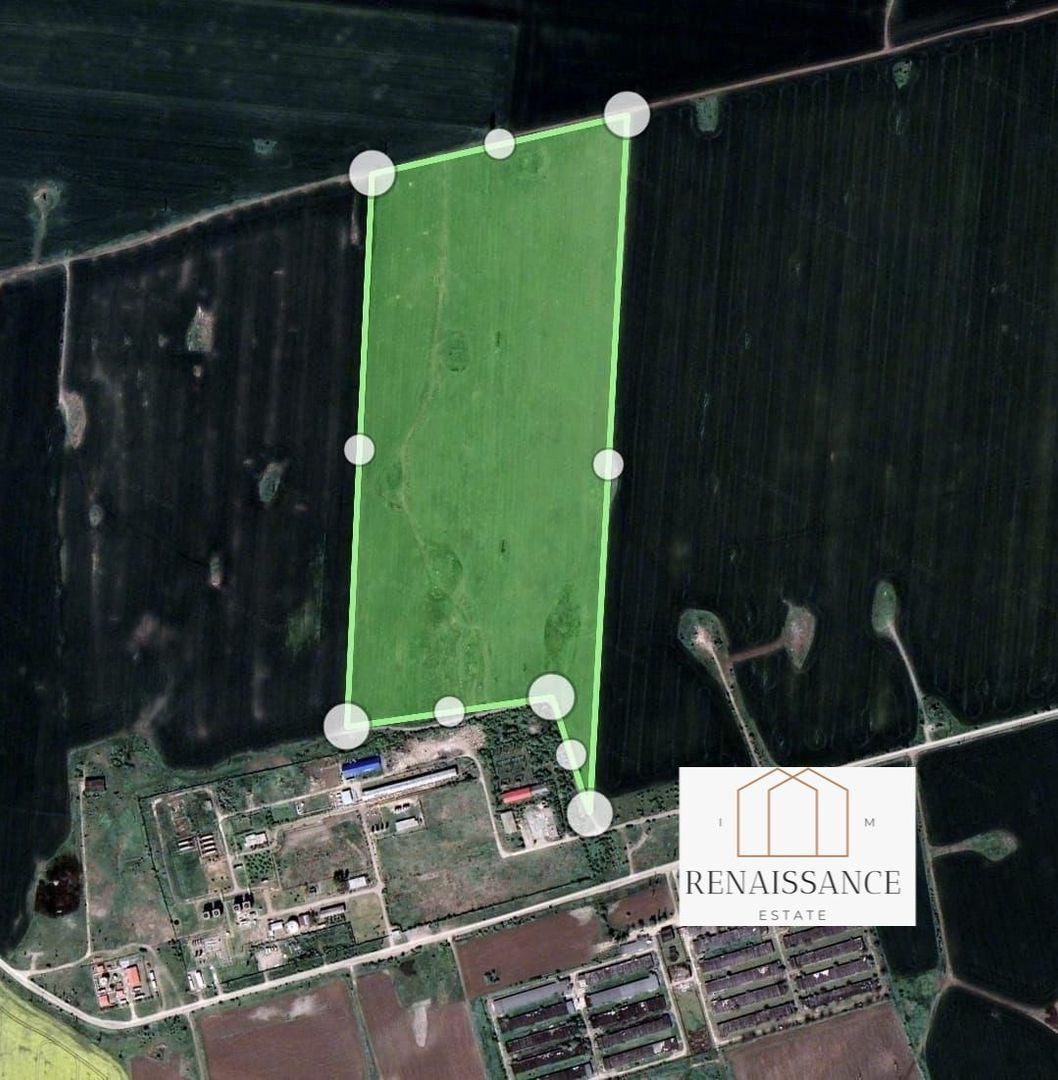 Calacea - Ortisoara Teren 20 Hectare - Parc Fotovoltaic - 2 Puncte LEA - Poză 4