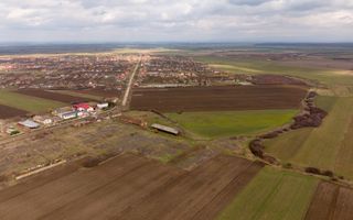 Fermă cu teren intravilan de 35000 mp în Mișca - Poză 5