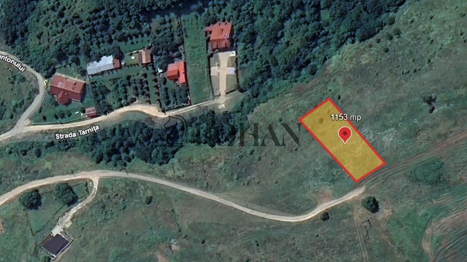 Oportunitate investiție 1153mp Tarnița - Micești - Poză 6